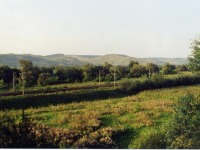 pretai_2001_04