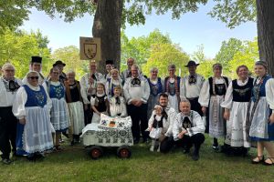 Umzug in Dinkelsbühl 2026